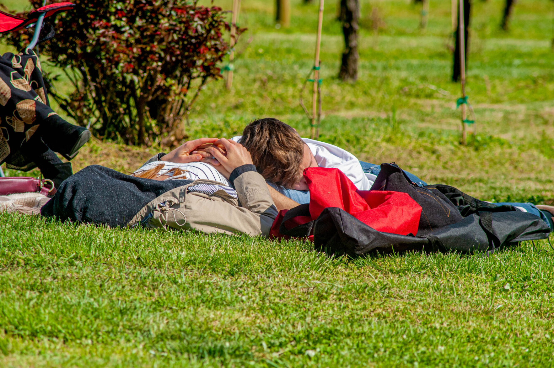 20210403-LEE_1874-Edit.jpg